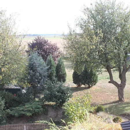 3 Zimmer Ferienwohnung - Woltorf Peine Esterno foto